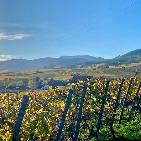 Le Grasberg Διαμέρισμα Bergheim Εξωτερικό φωτογραφία